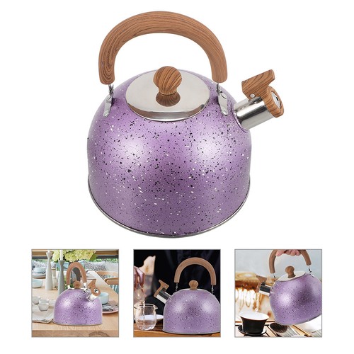 Kitchen whistling tea kettle - whistling,