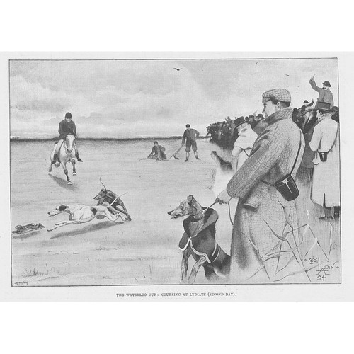 Waterloo cup coursing - waterloo, at