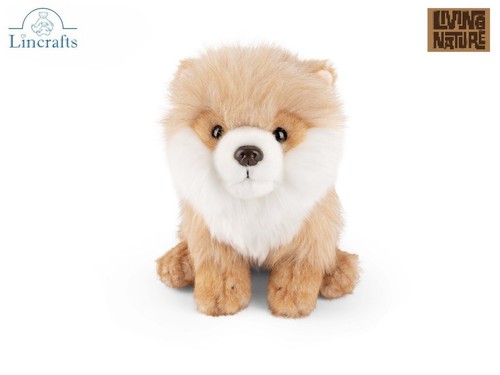 Pomeranian puppy plush soft - pomeranian,