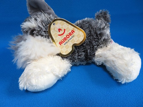 Schnauzer floppy puppy dog - floppy,