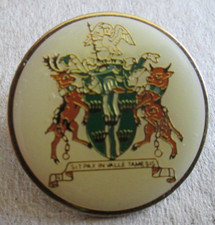 Thames Valley Police Coat of Arms Badge (5)