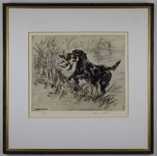Flat-Coated Retriever. Original Drypoint by listed artist Henry Wilkinson, c1970