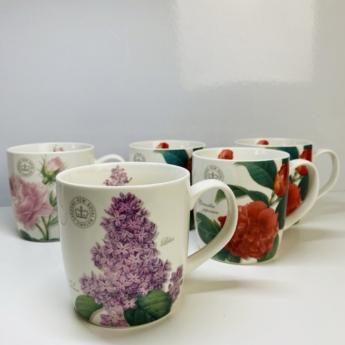 Kew gardens mug bundle - x,