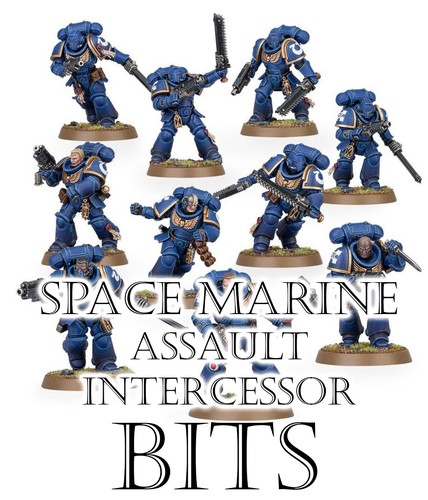 Warhammer 40k space marine - 40k,