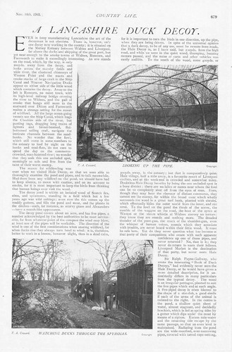 Hale lancashire duck decoy - hale,