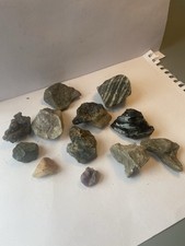Mineral Collection Geology Rock Samples From Around The World