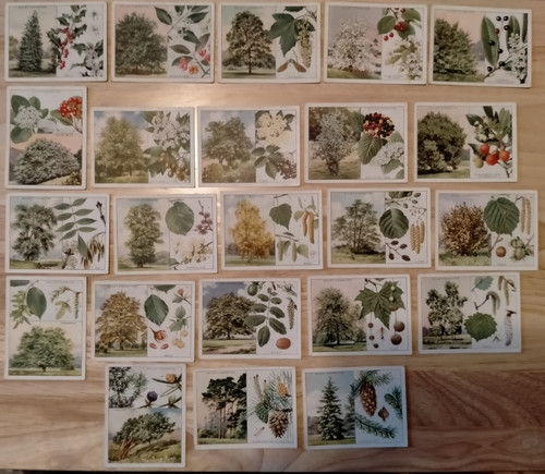 Wills cigarette cards trees - cards,