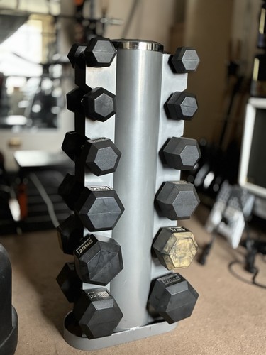 Taurus pair upright dumbbell - pair,