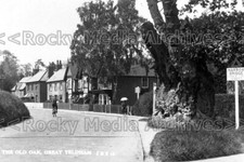 lww-76 The Old Oak, Great