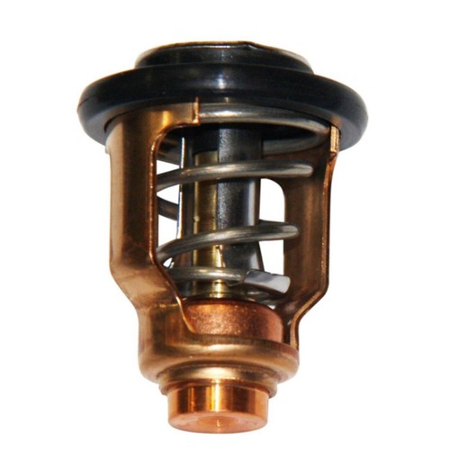 Thermostat 60v 12411 - thermostat, 60v-12411-00