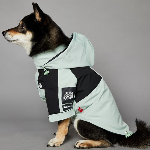 American light green - , trendy