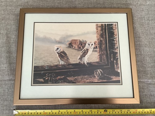 Framed barn owl print ian - owl,