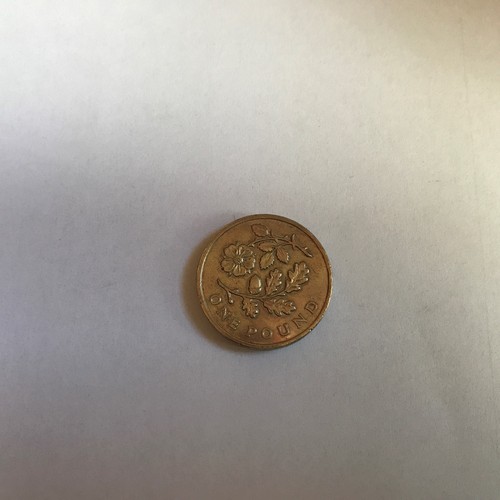 One pound coin royal - one,