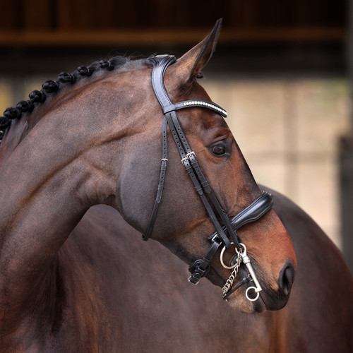 Shires velociti lusso double - shires,