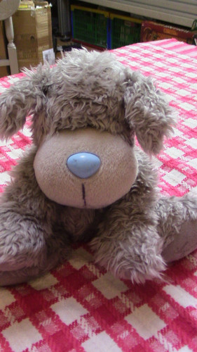 You tatty puppy grey - you,