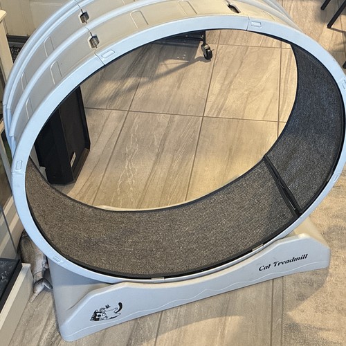 Interactive cat wheel - interactive,