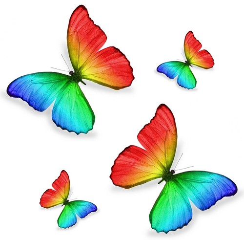 Set sticker decal - sticker,