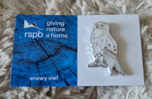Rspb bird pin badge snowy - pin,