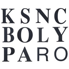 Letters Large 27 - 31cm Initials Name Acyrlic Black TV Stage Prop Art Project 72