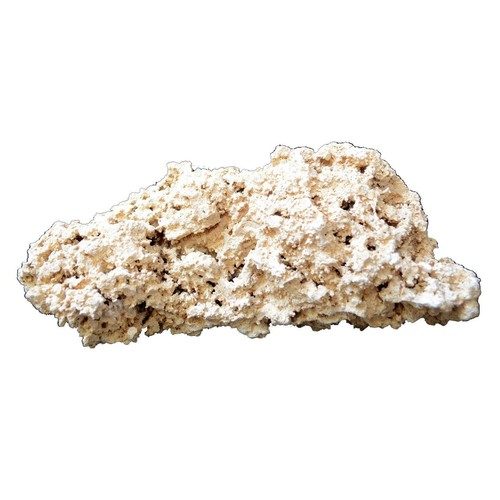 Dry ocean reef rock 30cm - ocean,