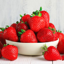 Strawberry 'Cambridge