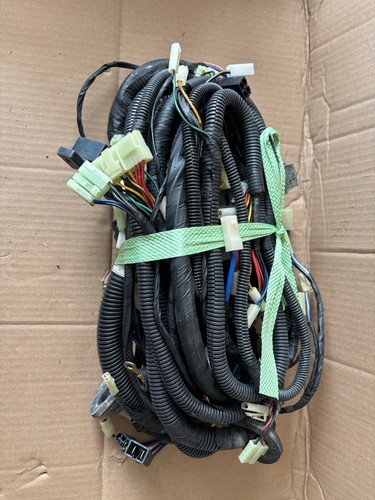 Asia rocsta wiring harness - rocsta,
