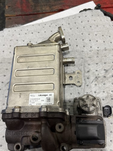 Volkswagen transporter - volkswagen,