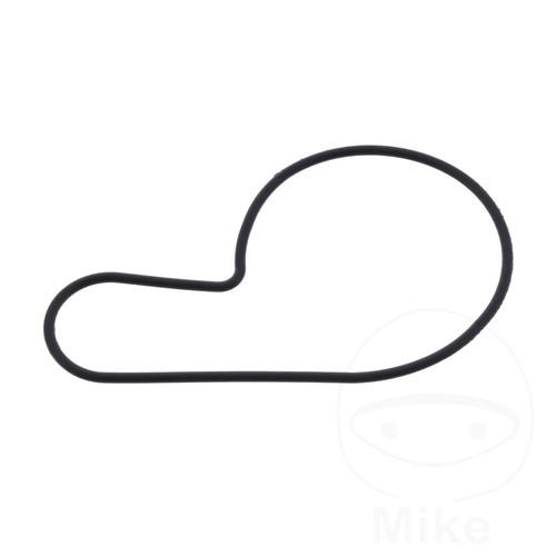 Athena water pump cover gasket - water,