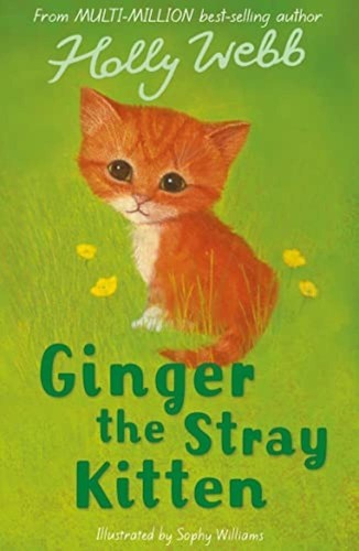 Ginger the stray - the, kitten