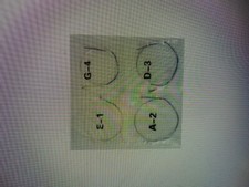 Violin Strings (complete set)