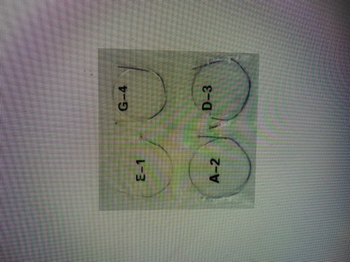 Violin strings - strings, set)
