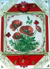 Red Poppy Flower - Hand