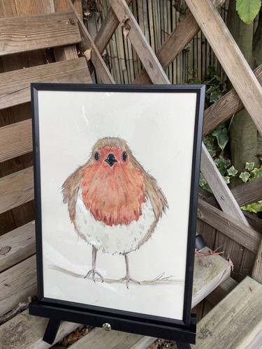 Robin bird original not - bird, a