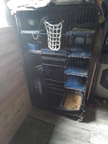Multi level chinchilla - level,