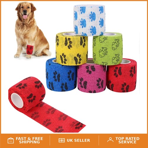 High elasticity pet - wrap,