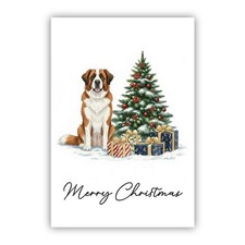 St Bernard Dog Christmas Card