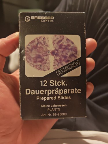 Microscope plant slides - microscope,