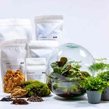 DIY Terrarium Kit Orb Living