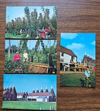 lot of 4 Hop Picking at Whitbreads Hop Farm, Paddock Wood Postcards