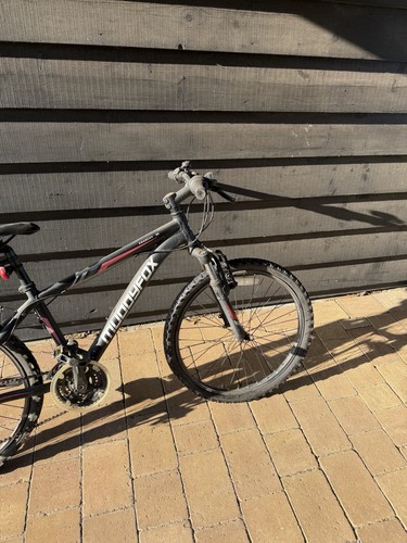 Mountain bike - mountain,