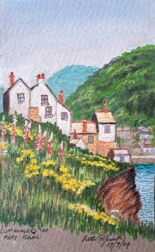 Port isaac cornwall cliff - cornwall,