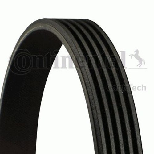 Fits continental ctam 5pk1750 - continental,