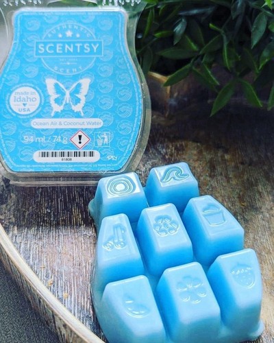 Scentsy ocean air coconut - ocean,