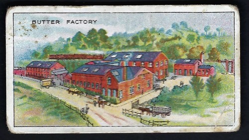 Operative co - operative,