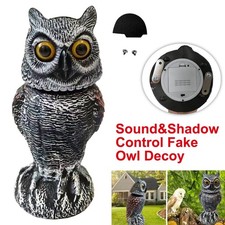 Realistic Owl Decoy With Bird
