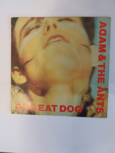 Adam ant dog - dog, eat