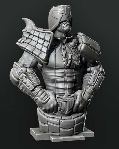 Ninja printz 8 judge - ninja,