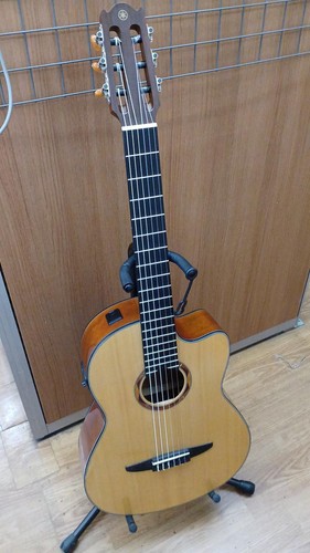 Yamaha ncx700 electric - ncx700,