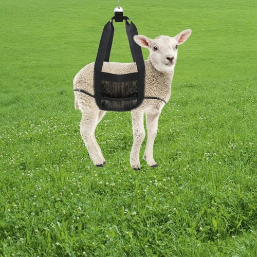 Calf sling for weighing - sling,