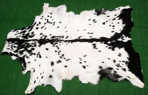 New goat hide - new, area